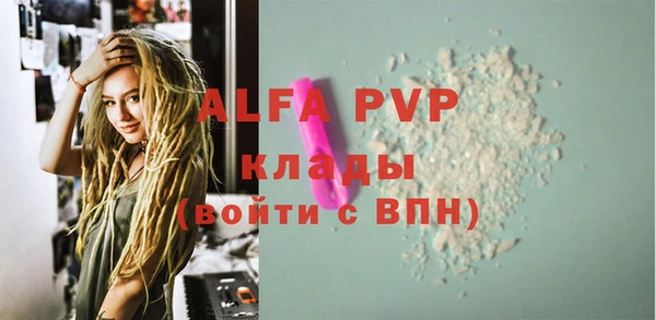 стаф Абаза