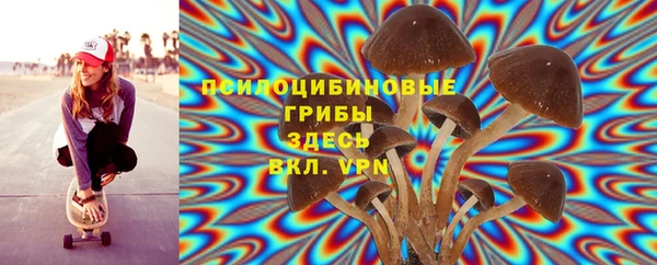 стаф Абаза